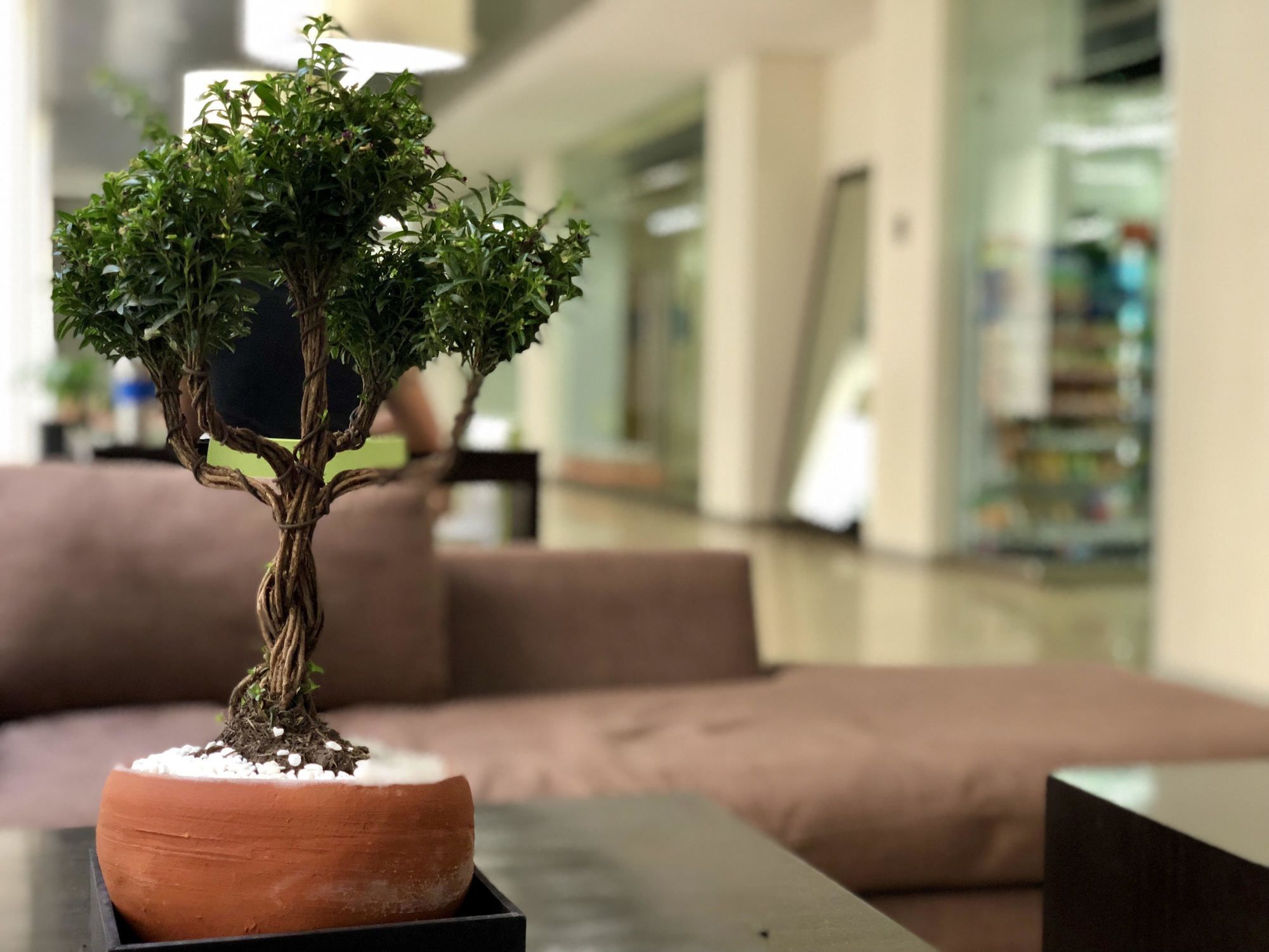 Boutique Apartment Pbk Kota Meksiko Bagian luar foto